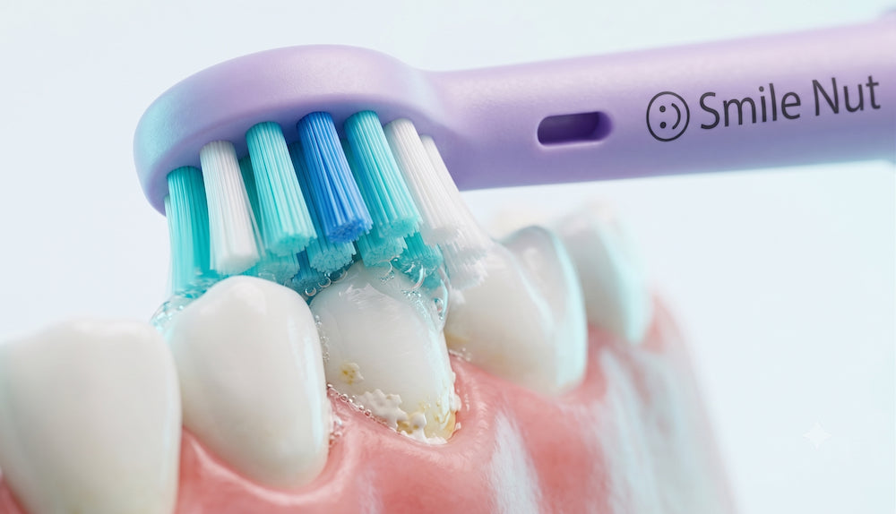 smile nut toothbrush heads for oral b